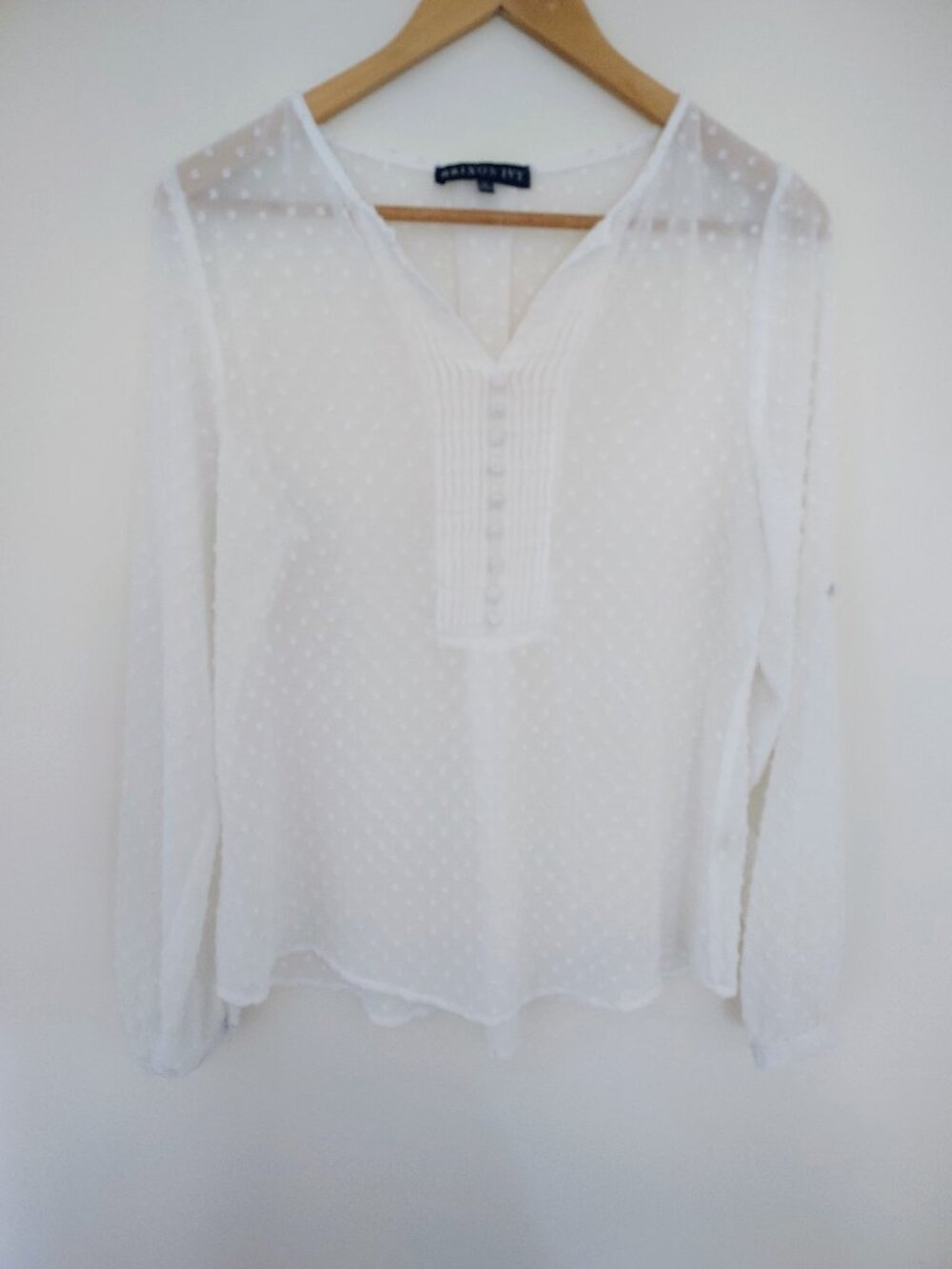 Brixton Ivy Blouse Swiss Dot Sheer Peasant Boho Cottagecore